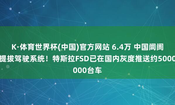 K·体育世界杯(中国)官方网站 6.4万 中国阛阓最贵提拔驾驶系统！特斯拉FSD已在国内灰度推送约5000台车