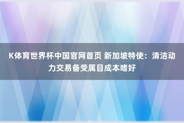 K体育世界杯中国官网首页 新加坡特使：清洁动力交易备受属目成本嗜好
