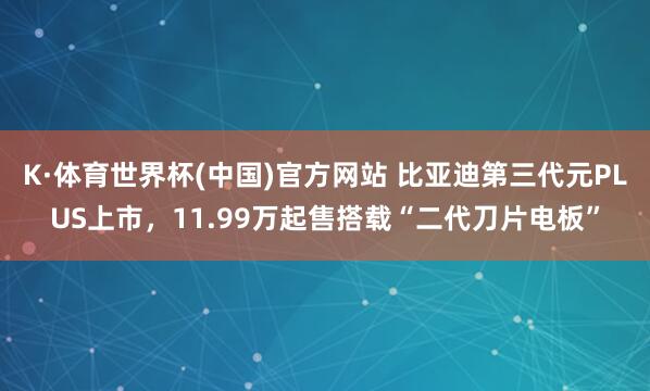 K·体育世界杯(中国)官方网站 比亚迪第三代元PLUS上市，11.99万起售搭载“二代刀片电板”