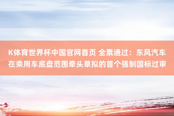 K体育世界杯中国官网首页 全票通过：东风汽车在乘用车底盘范围牵头草拟的首个强制国标过审