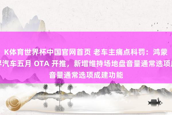 K体育世界杯中国官网首页 老车主痛点科罚：鸿蒙智行问界汽车五月 OTA 开推，新增维持场地盘音量通常选项成建功能