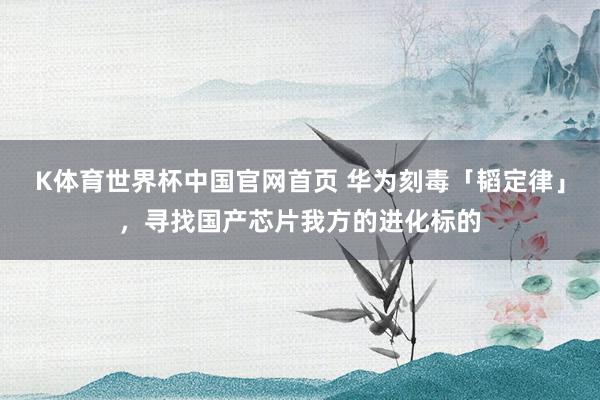 K体育世界杯中国官网首页 华为刻毒「韬定律」，寻找国产芯片我方的进化标的