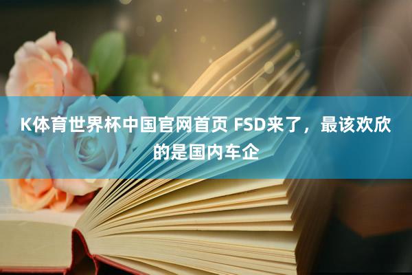 K体育世界杯中国官网首页 FSD来了，最该欢欣的是国内车企
