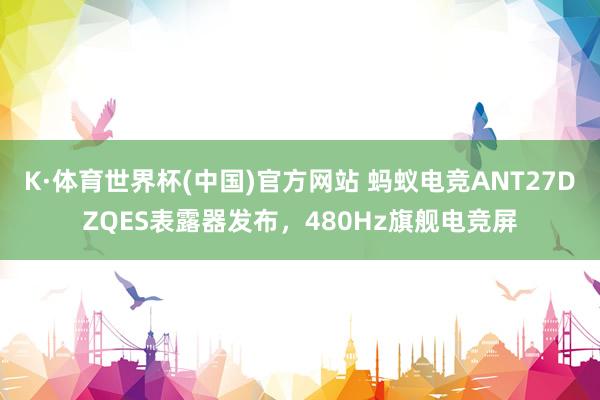K·体育世界杯(中国)官方网站 蚂蚁电竞ANT27DZQES表露器发布，480Hz旗舰电竞屏