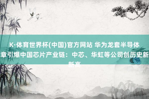 K·体育世界杯(中国)官方网站 华为龙套半导体规章引爆中国芯片产业链：中芯、华虹等公司创历史新高