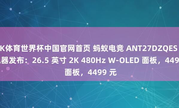 K体育世界杯中国官网首页 蚂蚁电竞 ANT27DZQES 显现器发布：26.5 英寸 2K 480Hz W-OLED 面板，4499 元
