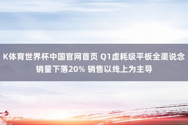 K体育世界杯中国官网首页 Q1虚耗级平板全渠说念销量下落20% 销售以线上为主导