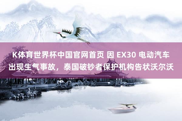 K体育世界杯中国官网首页 因 EX30 电动汽车出现生气事故，泰国破钞者保护机构告状沃尔沃