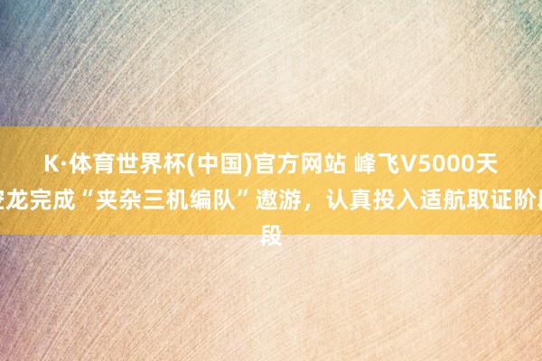 K·体育世界杯(中国)官方网站 峰飞V5000天空龙完成“夹杂三机编队”遨游，认真投入适航取证阶段