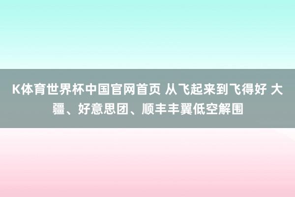 K体育世界杯中国官网首页 从飞起来到飞得好 大疆、好意思团、顺丰丰翼低空解围