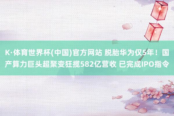 K·体育世界杯(中国)官方网站 脱胎华为仅5年！国产算力巨头超聚变狂揽582亿营收 已完成IPO指令