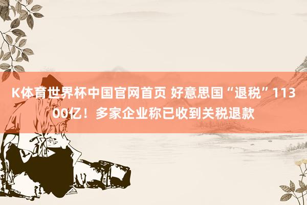 K体育世界杯中国官网首页 好意思国“退税”11300亿！多家企业称已收到关税退款