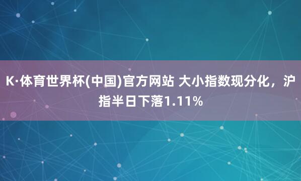 K·体育世界杯(中国)官方网站 大小指数现分化，沪指半日下落1.11%