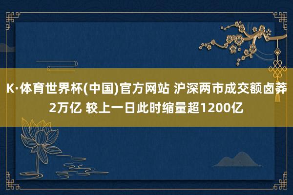 K·体育世界杯(中国)官方网站 沪深两市成交额卤莽2万亿 较上一日此时缩量超1200亿