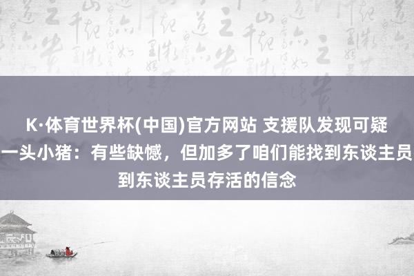 K·体育世界杯(中国)官方网站 支援队发现可疑热源效劳是一头小猪：有些缺憾，但加多了咱们能找到东谈主员存活的信念