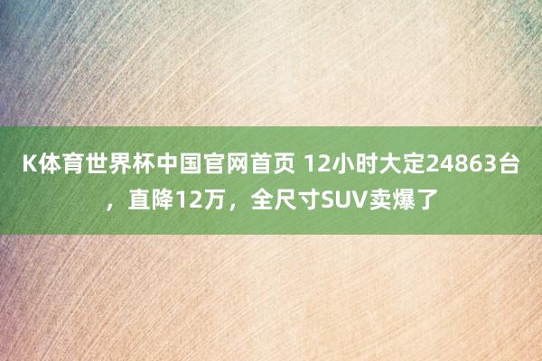 K体育世界杯中国官网首页 12小时大定24863台，直降12万，全尺寸SUV卖爆了