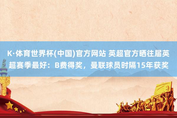 K·体育世界杯(中国)官方网站 英超官方晒往届英超赛季最好：B费得奖，曼联球员时隔15年获奖