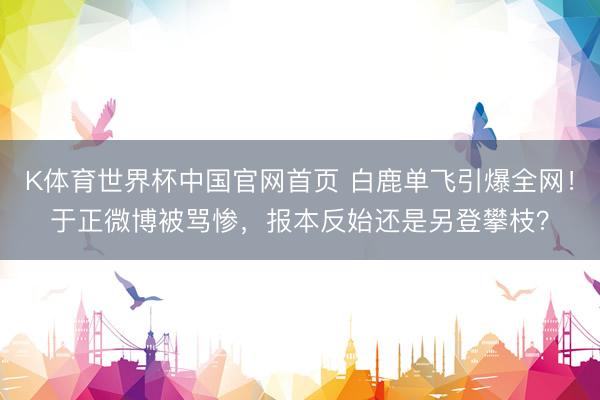 K体育世界杯中国官网首页 白鹿单飞引爆全网！于正微博被骂惨，报本反始还是另登攀枝？