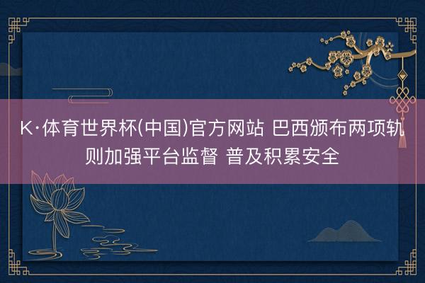 K·体育世界杯(中国)官方网站 巴西颁布两项轨则加强平台监督 普及积累安全