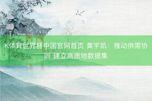 K体育世界杯中国官网首页 黄宇凯:推动供需协同 建立高质地数据集